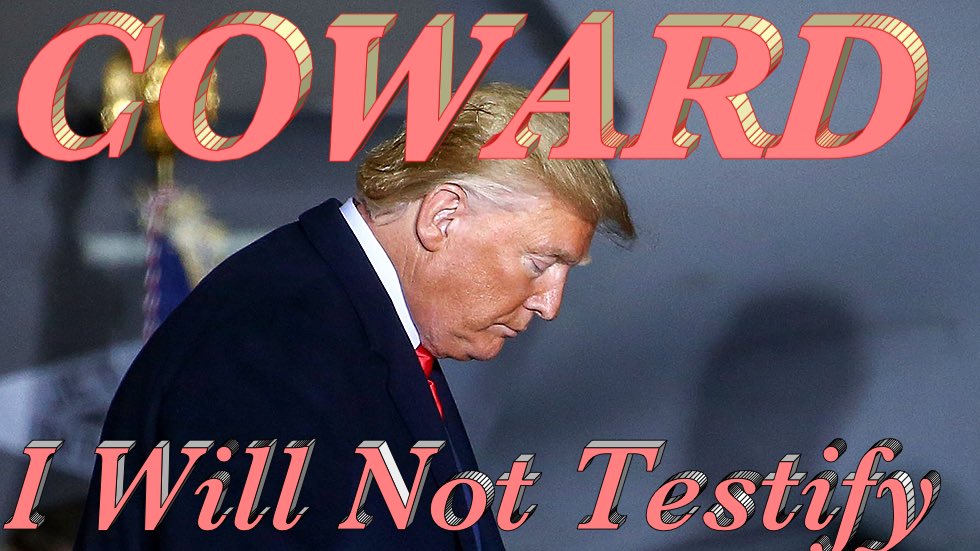 DreOculus's tweet photo. @Bubblebathgirl What will he admit to when he testifies? Oh, wait, he wonโt testify.
#trumptestify https://t.co/WCGulpm6JD