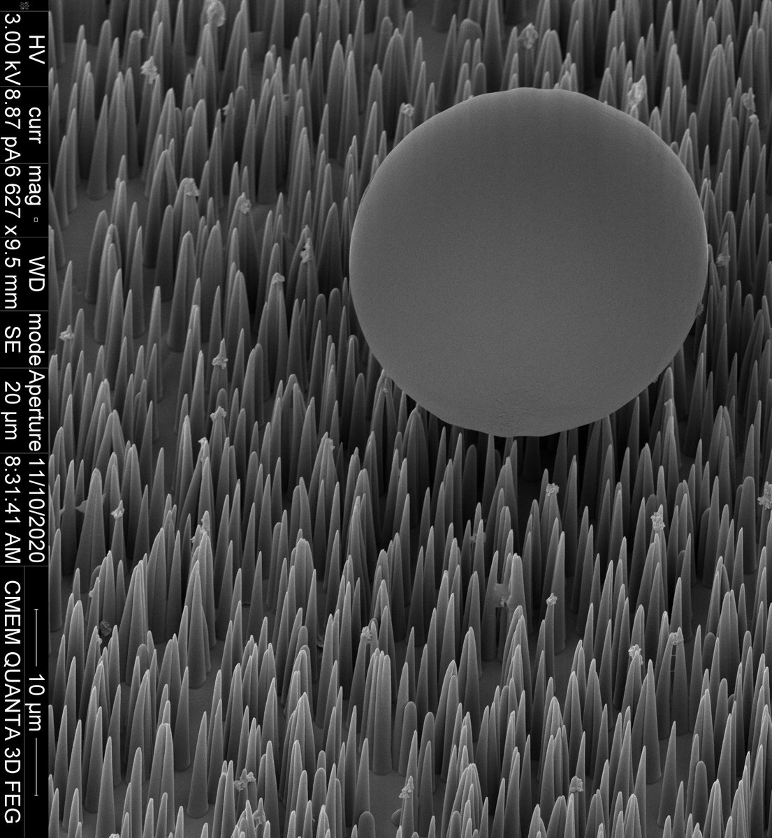NEMI (@projectnemi) on Twitter photo 🎈"Micro-balloon on a Nail Bed"- Simon Houben & Roel van Raak, <a href="/TUeindhoven/">TU Eindhoven</a>
🔬 A micro-sized hair array made from a liquid crystalline polymer, supporting a glass microbead. Captured using a FEI 3D Quanta FEG at the Laboratory of Stimuli-responsive Functional Materials & Devices 🎈"Micro-balloon on a Nail Bed"- Simon Houben & Roel van Raak, <a href="/TUeindhoven/">TU Eindhoven</a>
🔬 A micro-sized hair array made from a liquid crystalline polymer, supporting a glass microbead. Captured using a FEI 3D Quanta FEG at the Laboratory of Stimuli-responsive Functional Materials & Devices