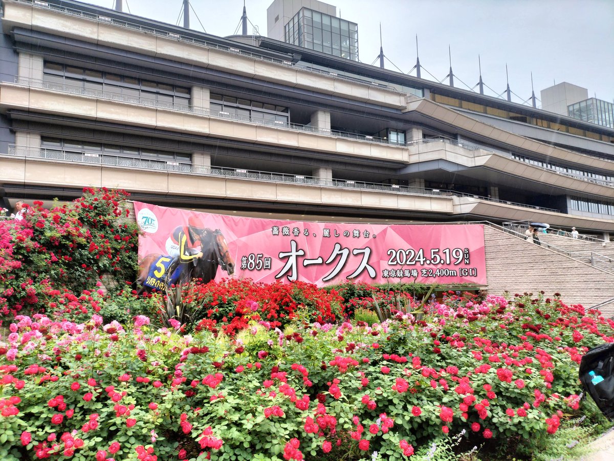 ruyutti's tweet photo. https://t.co/OWOyOBFj9V