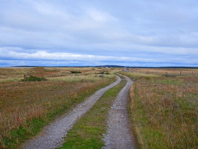 The road to Tickle Point. There are many of these wonderful old roads here that are great places to walk the dog as they are rarely ever used by anyone.