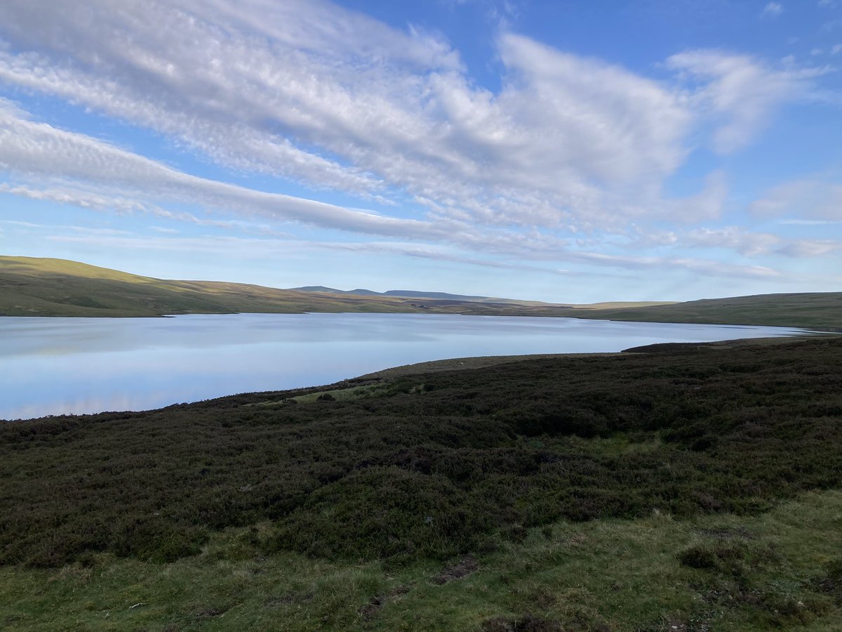 Brilliant day on the Stunning Upper Teesdale, Durham dales. Target Spring gentian, we managed to find one in photographic condition, along with Birds Eye primrose and mountain pansy. Our thanks to James Common for his help.