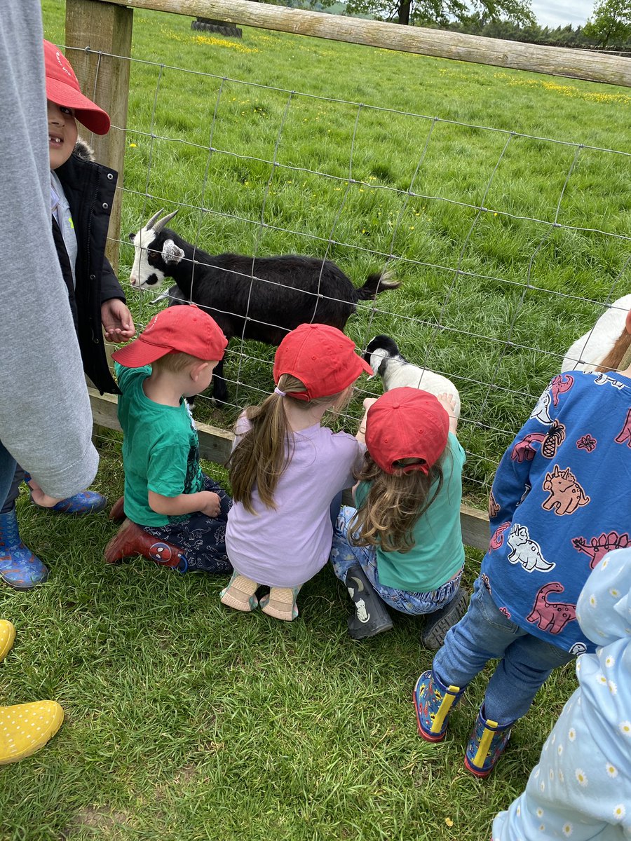 olvschool's tweet photo. The next group are on a paddock walk. We have started by feeding the goats and stroking them. @bcw_cat #OLVEYFS https://t.co/oIXZn8oiz3