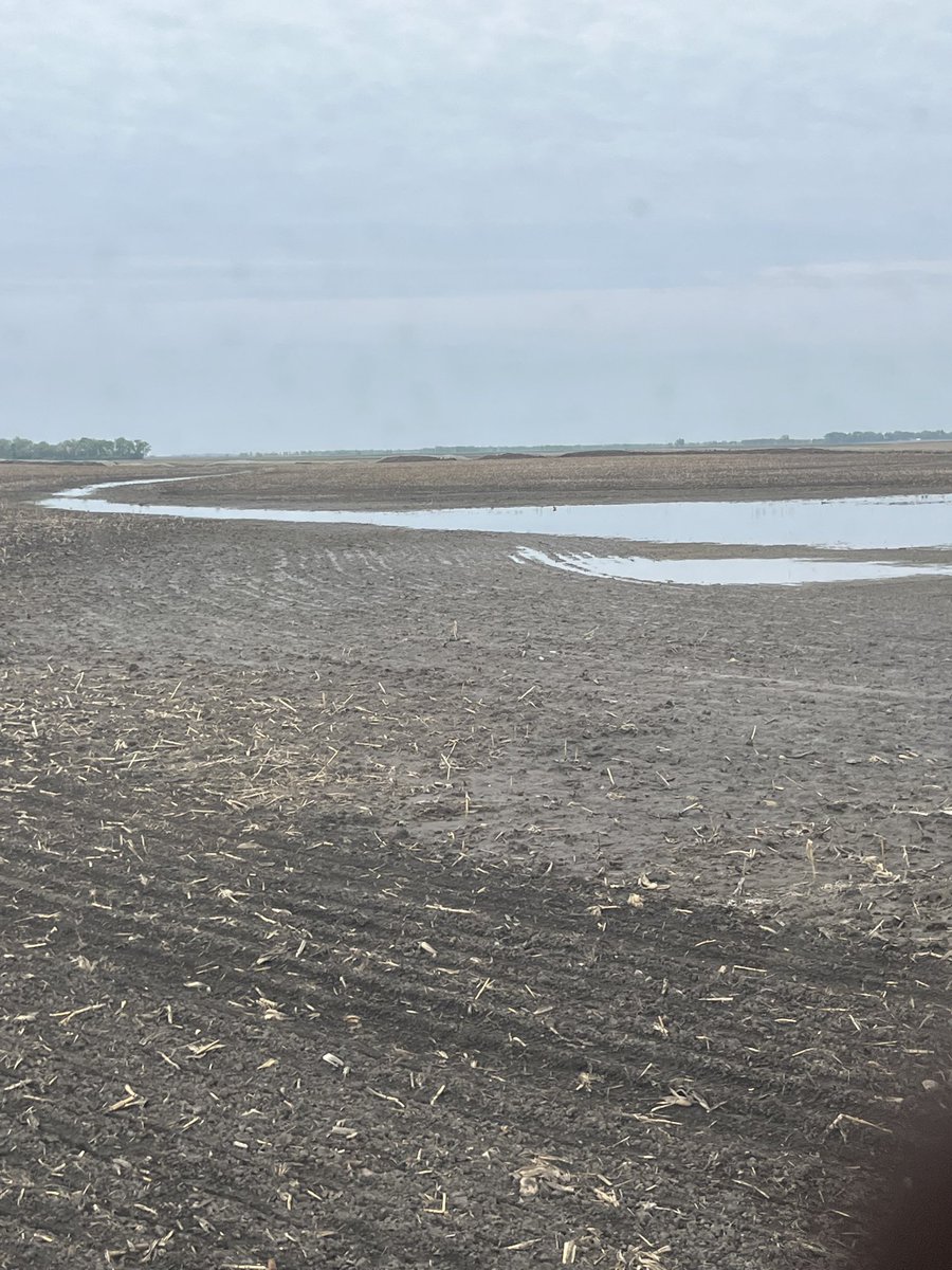 Zinkfarms's tweet photo. When the Garrison diversion Red River Valley water project crosses your land and they block your drains don’t expect much help. Pathetic! https://t.co/mNpFk4ciiM