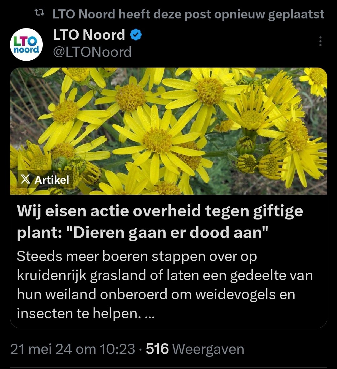 Anthonie Stip tweet media