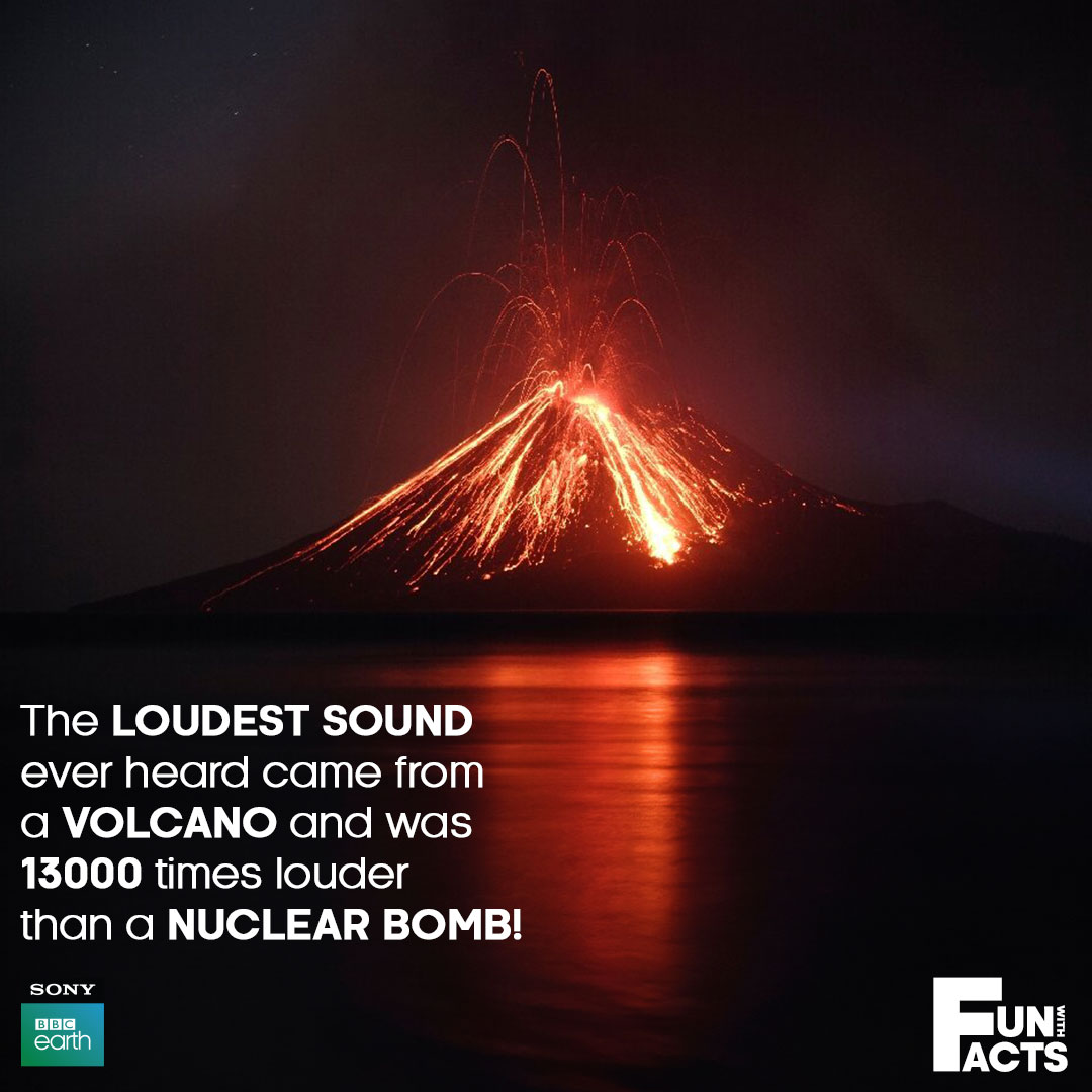 Indonesia's Krakatoa volcano erupted in 1883 and created what is most likely the loudest sound ever heard by humans on Earth. 

#SonyBBCEarth #FeelAlive #Nature #Wildlife #FunWithFacts #Krakatoa #Volcano #VolcanicEruption #LoudestSoundEver #Indonesia