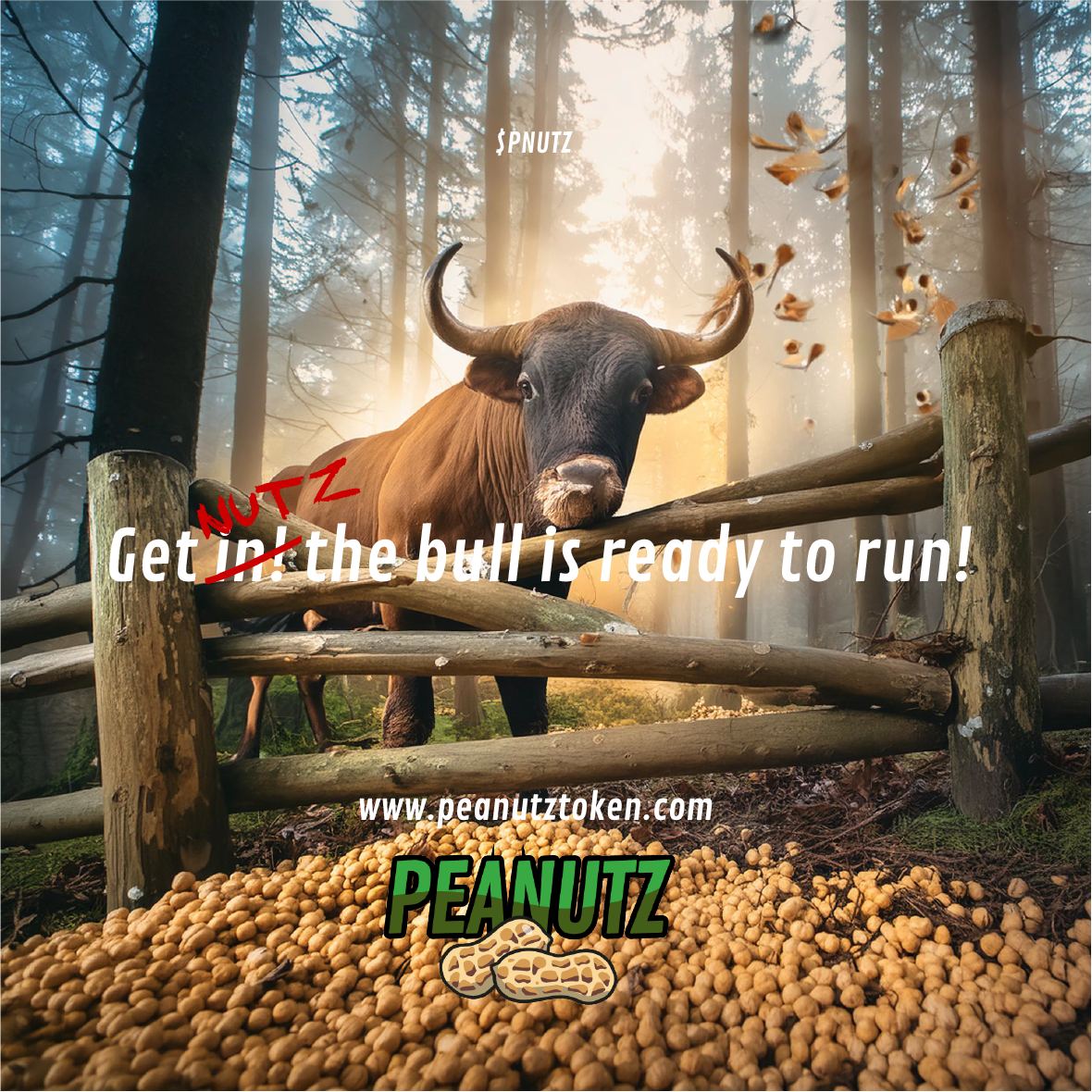 Peanutztoken's tweet photo. 🇳🇱 Peanutz 🇳🇱

#bitcoin over 70K again! 

#peanutz will burn a big amount of tokens this week! 

Buy some #pnutz before we gonna go higher🚀🚀

#btc #bitcoin #memecoins #coinmarketcap #coingecko #binance #floki #slerf #myro #hund #pepe #doge #ethereumetf #bitcoinetf #ETH #BSC #BSCGEMS