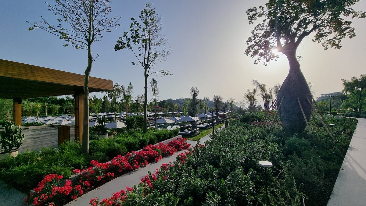 WibCar's tweet photo. Only four days old, and so dazzling already! @MaxxRoyal #newopening #bodrum @GoTurkiye https://t.co/XaM6rhNB7i