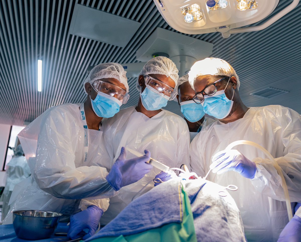 IrcadAfrica's tweet photo. Today’s laboratory session included hands on training in cadaveric dissection, with today’s focus being on the right side of the specimen. #IRCADAfrica #360SkullBase #IRCADAfricaTraining #MIS #Neurosurgery #MinimallyInvasiveSurgery https://t.co/lG8MVtVWoa