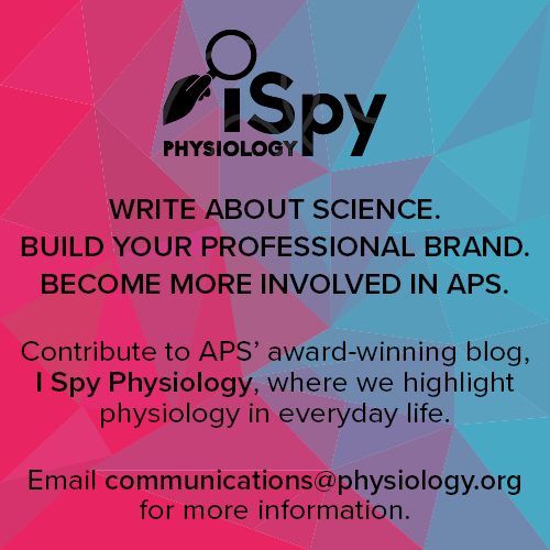 APS members: If you like writing and want to improve your #SciComm skills, consider writing for the #ISpyPhysiology blog! Learn more: ow.ly/7uoA50RIVrl #ProfDev
