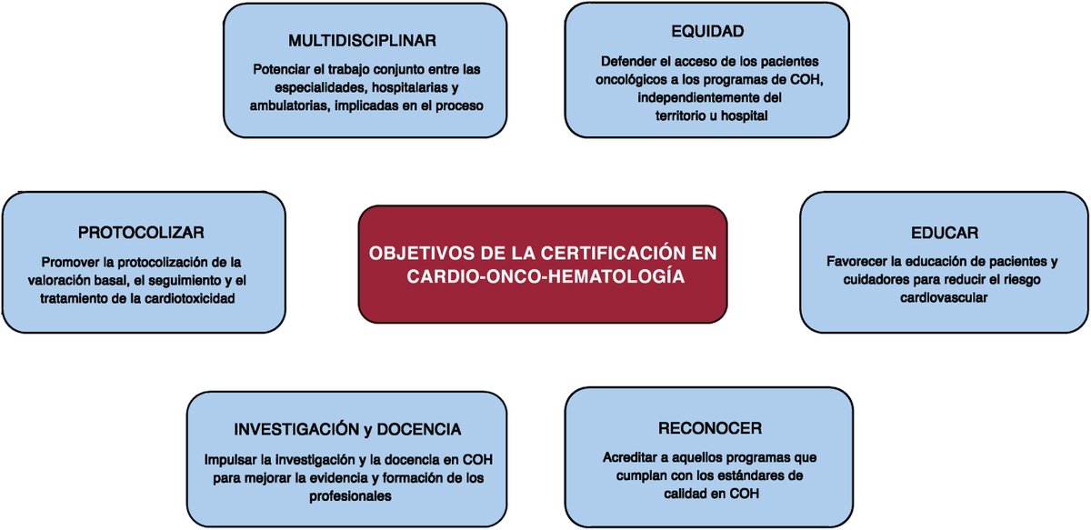 REC Publications (@revespcardiol) on Twitter photo Certificación de programas de cardio-onco-hematología: una oportunidad para mejorar la calidad asistencial de los pacientes con cáncer #REC #AheadOfPrint <a href="/PeterMoliner/">Pedro Moliner</a> <a href="/TeresaLpezFdez1/">Teresa Lopez Fernandez</a> revespcardiol.org//es-certificac… Certificación de programas de cardio-onco-hematología: una oportunidad para mejorar la calidad asistencial de los pacientes con cáncer #REC #AheadOfPrint <a href="/PeterMoliner/">Pedro Moliner</a> <a href="/TeresaLpezFdez1/">Teresa Lopez Fernandez</a> revespcardiol.org//es-certificac…
