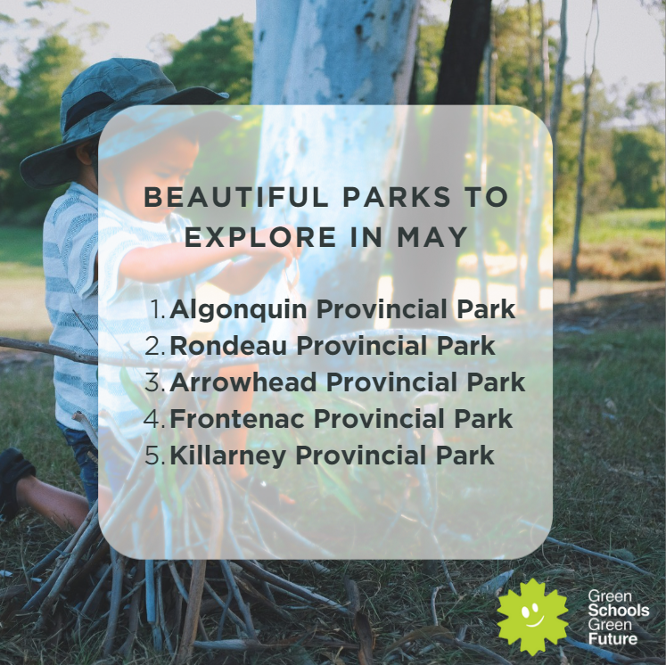 🚸Hike, explore & bond with your family in nature this spring!

Explore Ontario's provincial parks & ignite your child's curiosity. Learn, play, grow - the perfect family outing. 

Memories made, nature awaits! 🌷

#OntarioParks #SpringLearning #ecoeducation #children #GSGF