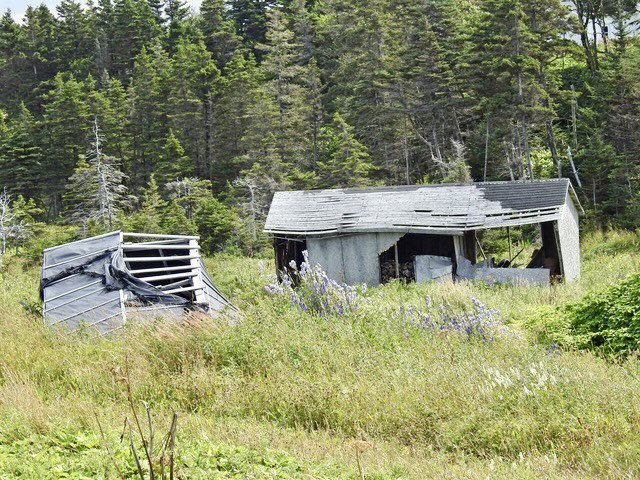 The total collapse of the fishery in rural Newfoundland. With deteriorating fishing communities and family farms I wonder who is going to feed all of us in years to come.