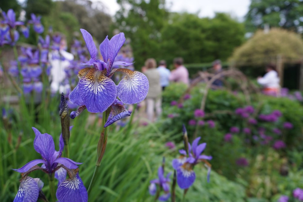 LA23NET's tweet image. We had the weather, we had some mighty fine people and it made for a fantastic time exploring Holker Hall &amp;amp; Gardens at @LA23NET last week ☀️🌸
Our last event of the season is happening on Wednesday, 12th June at Force Cafe in #Ambleside.
Come join us 👉 bit.ly/LA23NET_June