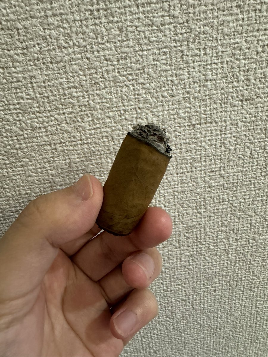 Tennis_Step's tweet photo. 何気に吸ってなかったシリーズ。
Cusano Robusto
ダビドフ傘下の格安ブランド。凄い有名処だけど火を付けたことが無かったから束買い。
喫感としてはかなり柔らかめ。風味もマイルド寄り。
偶に良い香りが鼻の奥に残るのが印象的。ショートフィラーでこの質は凄い。
#葉巻 #Cigar #Cusano https://t.co/MEjw08hjQJ