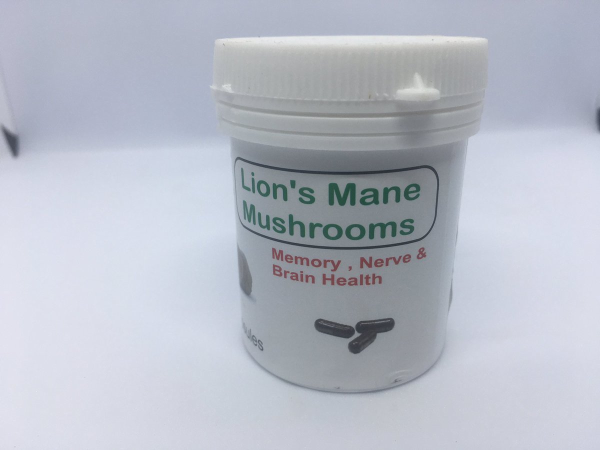 Boost your memory, focus and brain health with lions mane mushrooms.