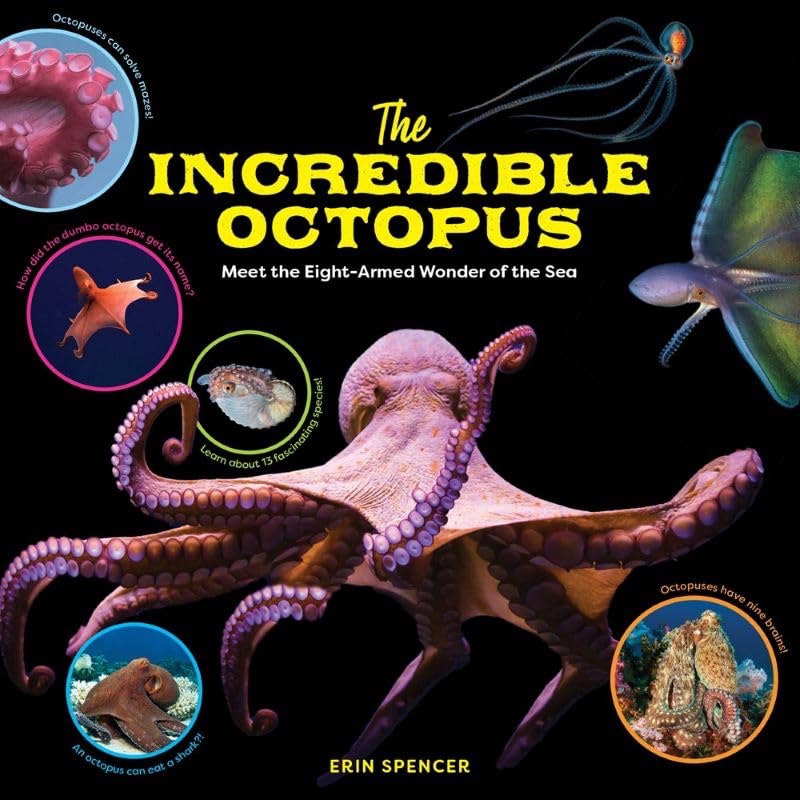 Review and Educators’ Guide for The Incredible Octopus by Erin Spencer unleashingreaders.com/27678