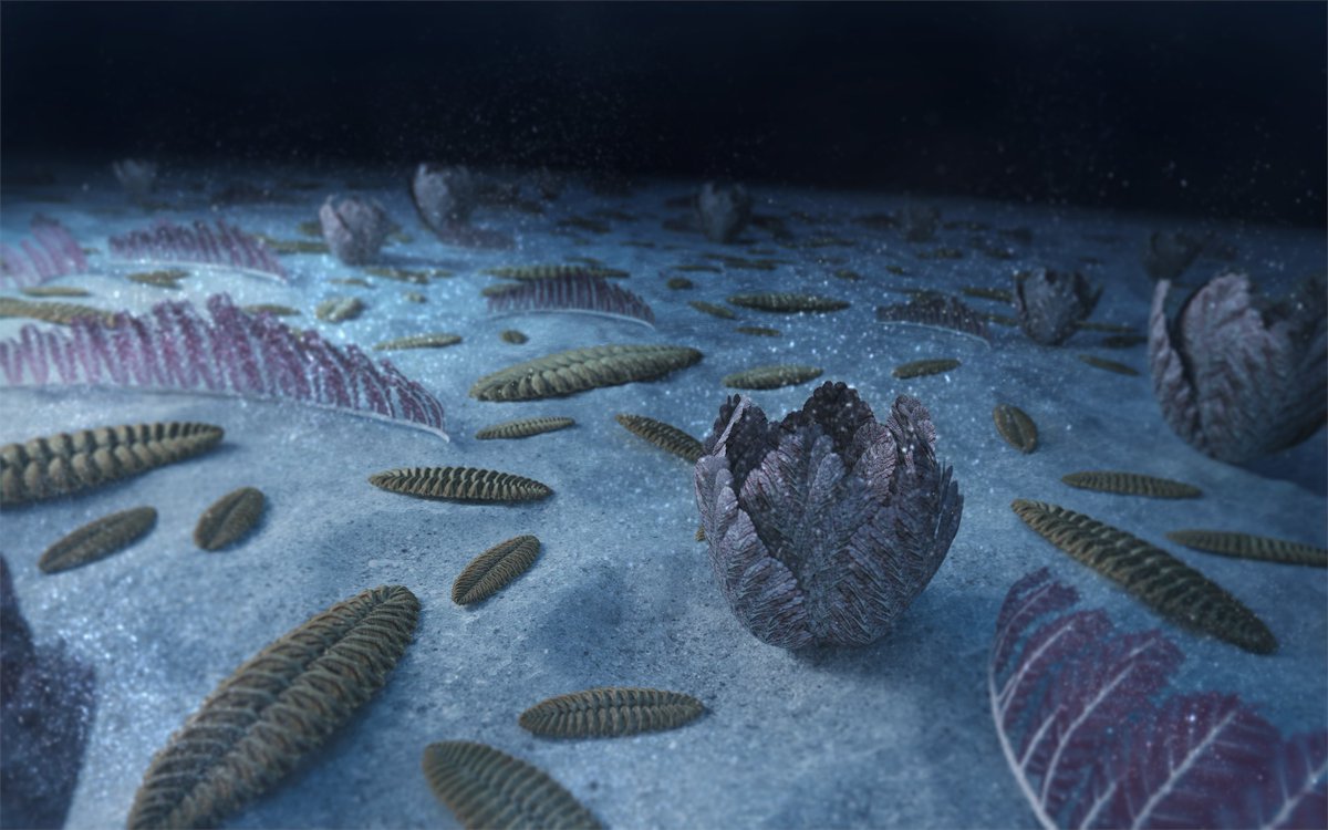 A new paper by Imran Rahman (@VirtualPalaeo) virtually recreated these environments from the Ediacaran period using fossils. By mixing seawater, they could have enhanced oxygen concentrations. Learn more 👉bit.ly/3QVYIGx