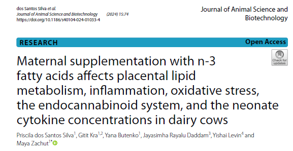 Maya Zachut tweet media