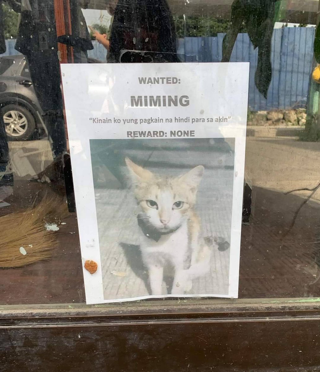 mga pusa sa daan tweet media