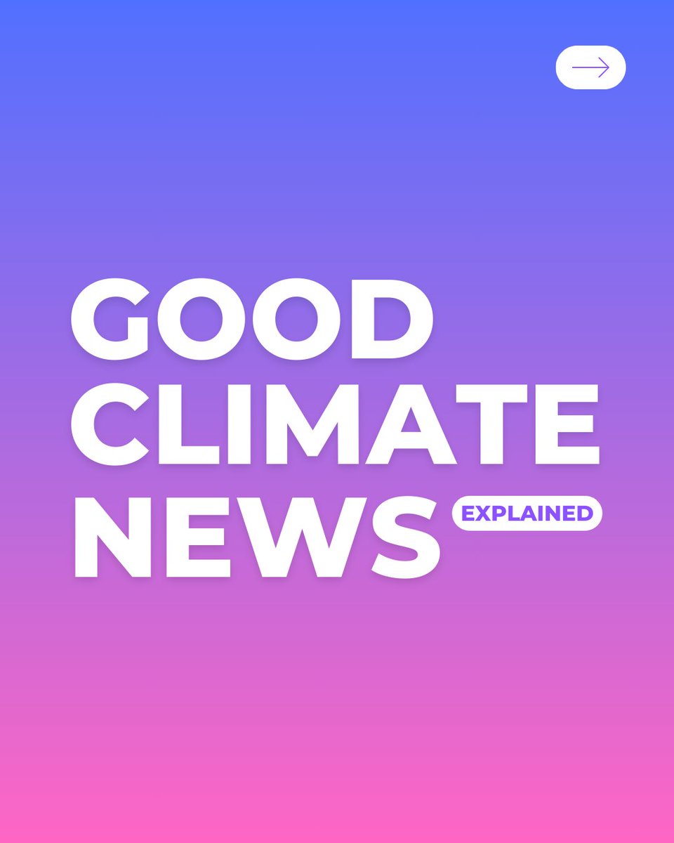 Brighten up your day with some positive climate news! 🌍✨
Let us know which one is your favourite in the comments 👇

🌱 #GoodClimateNews #PositiveNews #HopeForTheFuture #Montpellier #PublicTransport #CleanCookingAfrica #Coal #India #Renewables  #NeighbourhoodinBloom #Antwerp