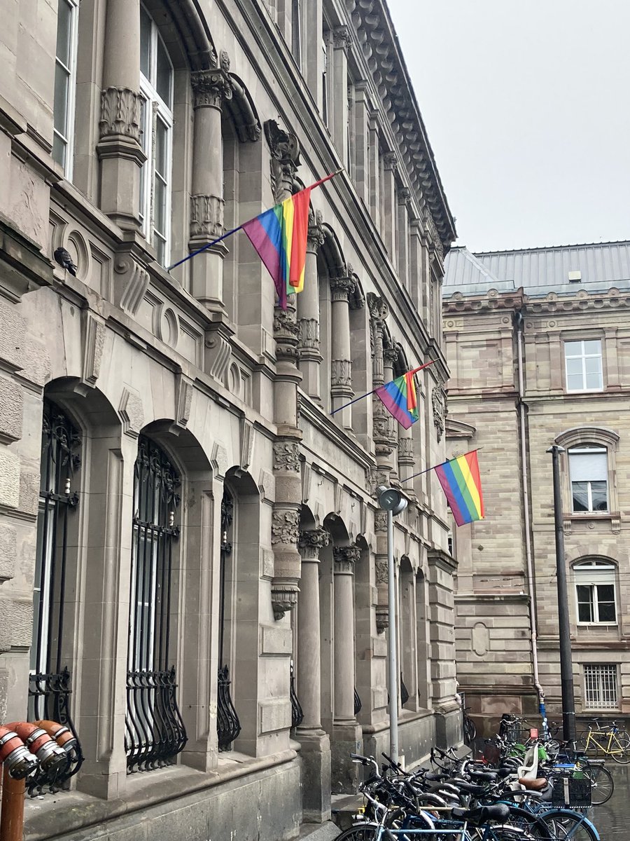 Journée mondiale de lutte contre l’homophobie et la transphobie… Depuis le 17 mai, la gare de Strasbourg affiche les couleurs !