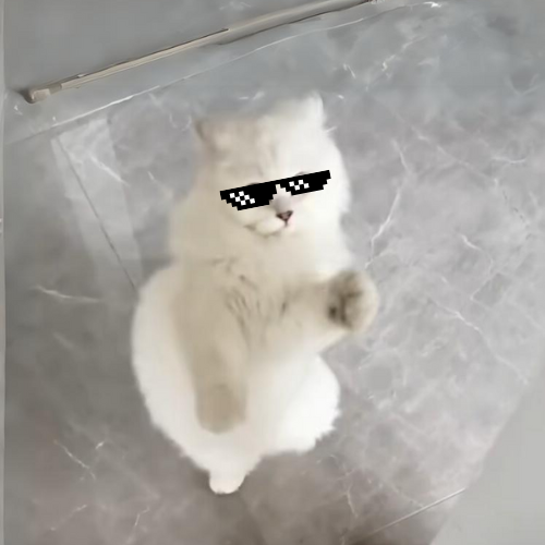 Nibi1068565's tweet photo. @IamCryptoWolf $nibi is ready! https://t.co/y4gYRXPfgY https://t.co/qlZlZxK2uw