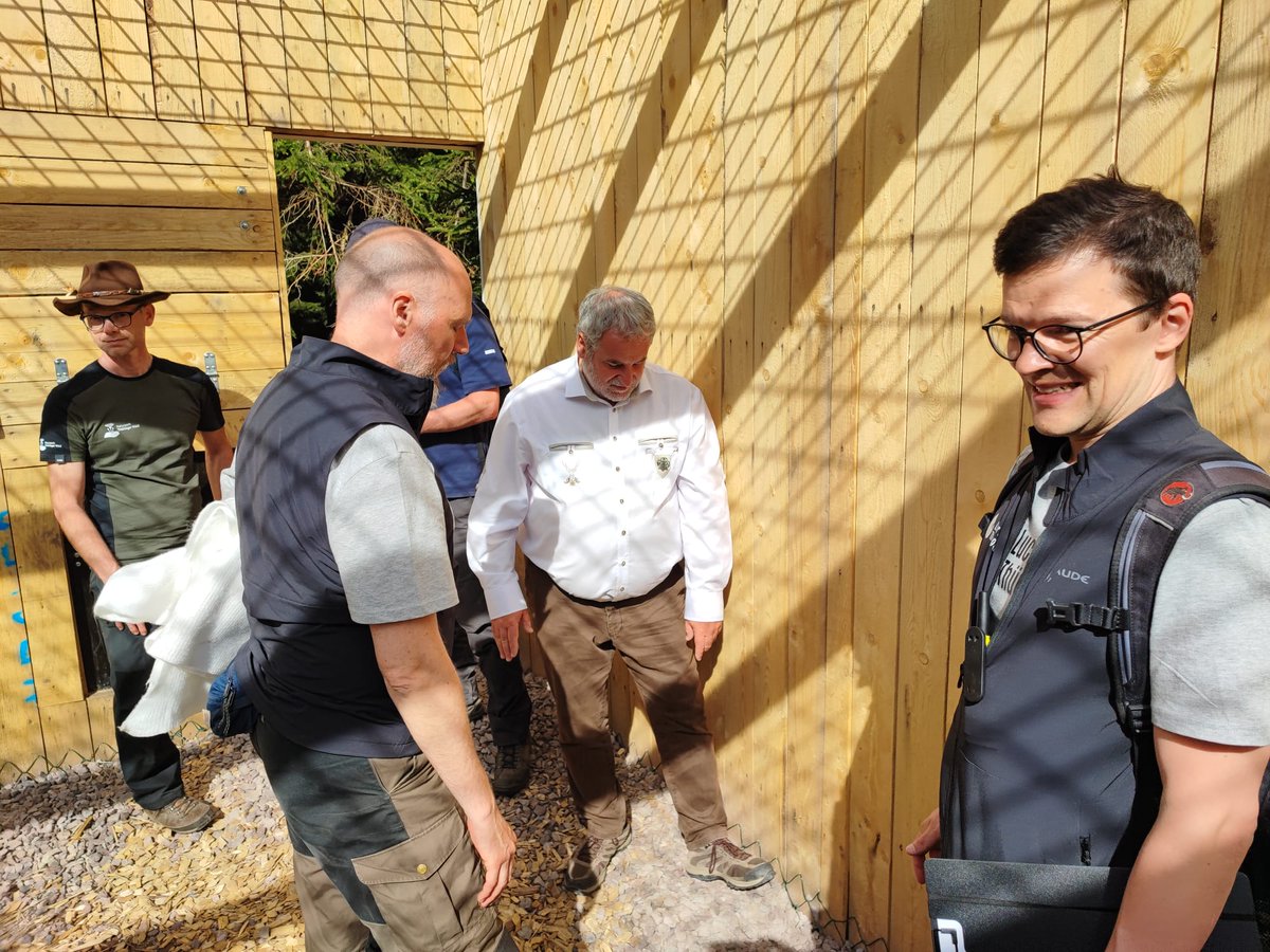 RNP_Romsilva's tweet photo. Râs din România contribuie la salvarea populației de râși din Germania
A #lynx male from #Romania contributes to saving the lynx population in forests of Thuringia, in Germany, within an European project
#forestry #LIFElynx #forests #wildlife #păduri #fauna https://t.co/4zJUyN7q99