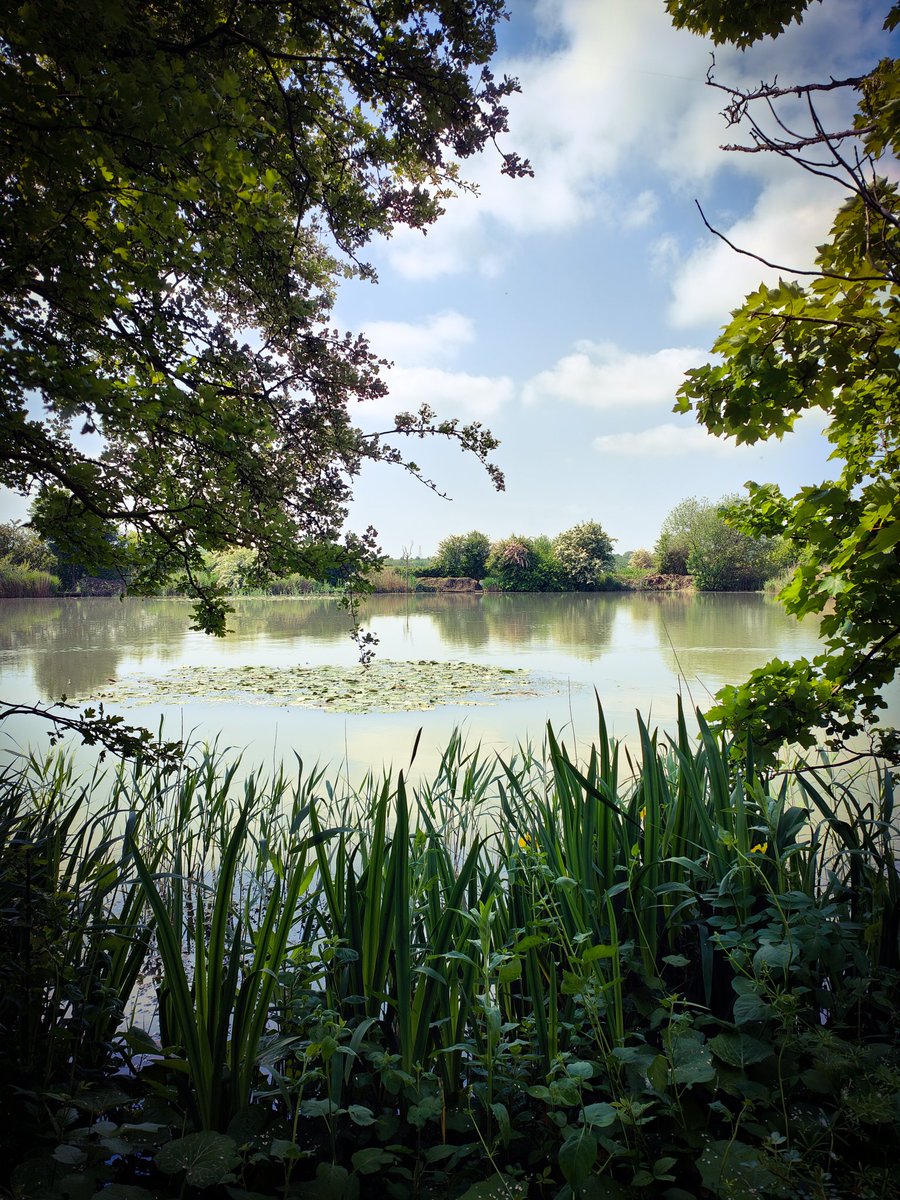 Masterkane1977's tweet photo. First or Second Picture?
#ratemy #rate #ratemypic #whichisbest #yourfavourite #lakes #fishingtrip #fishing #trees #water #wildlife https://t.co/tUb8PxiTSY