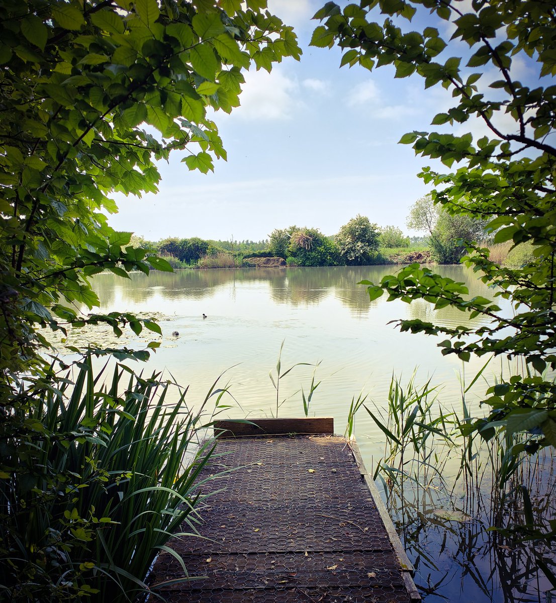 Masterkane1977's tweet photo. First or Second Picture?
#ratemy #rate #ratemypic #whichisbest #yourfavourite #lakes #fishingtrip #fishing #trees #water #wildlife https://t.co/tUb8PxiTSY