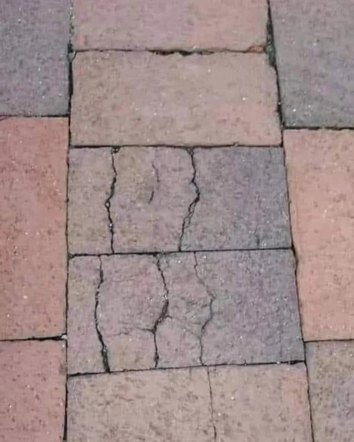 Stupid sexy Flanders! 

#thesimpsons