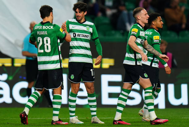 FogodeLeao's tweet image. A minha Seleção é o Sporting Clube de Portugal!