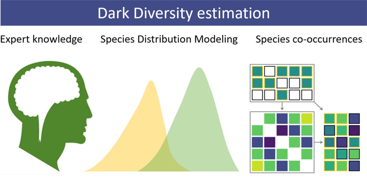 Macroecology UT (@macroecologyut) on Twitter photo A roadmap to carefully select methods for dark diversity studies <a href="/JVegSci/">Journal of Vegetation Science</a> Guidelines with a working example, linking species traits and site characteristics to #darkdiversity
onlinelibrary.wiley.com/doi/10.1111/jv… A roadmap to carefully select methods for dark diversity studies <a href="/JVegSci/">Journal of Vegetation Science</a> Guidelines with a working example, linking species traits and site characteristics to #darkdiversity
onlinelibrary.wiley.com/doi/10.1111/jv…