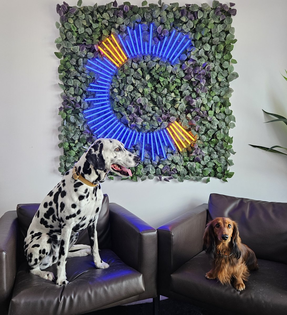 Cap Financials tweet media