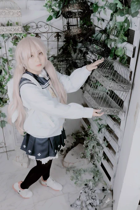 コスプレ ブルーアーカイブ 阿慈谷ヒフミ市井涼さん( ) 