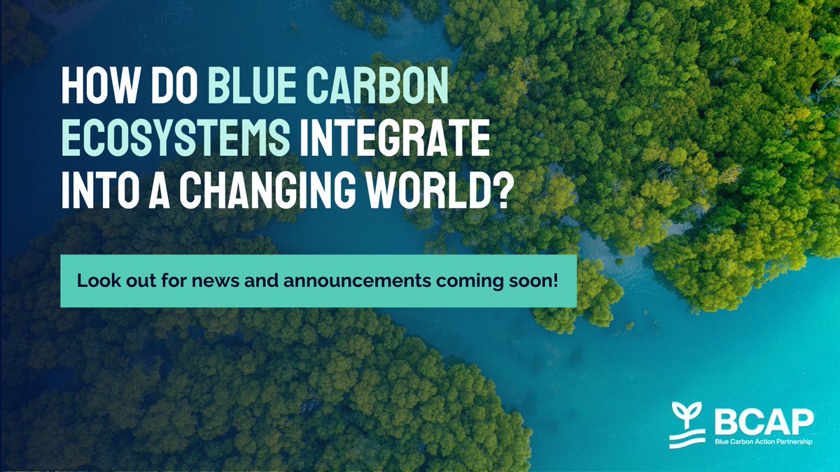 The #BlueCarbonActionPartnership is redefining the way #bluecarbon ecosystems integrate into a changing world. By championing local leadership, unlocking funding and supporting #naturebasedsolutions we can build an equitable future. Stay tuned! #BCAP
bit.ly/3w7nOvb