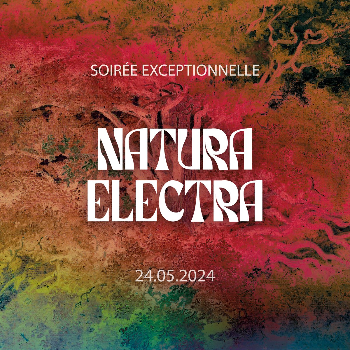 🌿 Natura Electra : une soirée festive et engagée au cœur du jardin du #PetitPalais ! 📅 Le 24 mai de 19h à 23h 💳 Réserver : billetterie-parismusees.paris.fr/selection/time… En partenariat avec COAL et @Nuitsdesforets #expoTheodoeRousseau