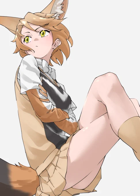 セグロジャッカル 