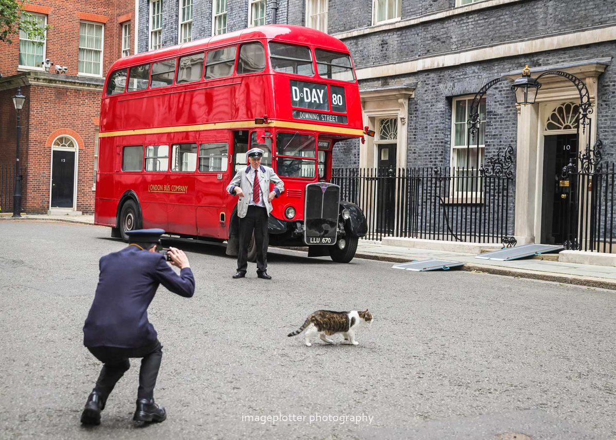And of course no exterior #DowningStreet photo opportunity would be complete without the Larrmaster casually sashaying through the shot. Wouldn't have it any other way! Nice to see you, @Number10cat