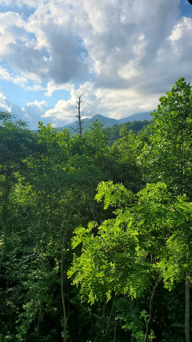 Mount Leconte to the right, hiding amongst the clouds. 
<a href="/TravelGburg/">Visit Gatlinburg</a> 
#Tennessee
