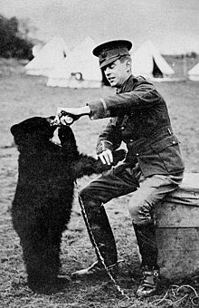 ポーランド軍所属で伍長にまでなった熊がいた事は知ってたけど、くまのプーさんも元ネタの熊はロンドン動物園に落ち着くまではカナダ軍(CEF)で飼われてたんだな
恥ずかしながら今日まで知らなかった 