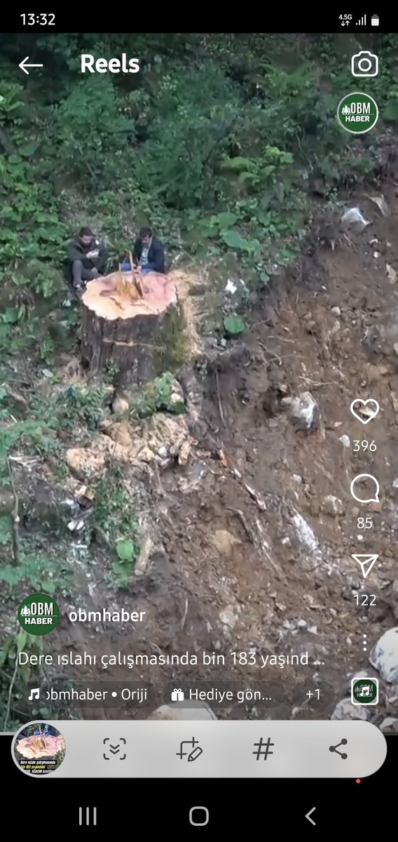 Zonguldak Valiliği dere ıslahı içim kesilen 1200 yıllık porsuk ağacı için soruşturma başlattı... @TC_Zonguldak @TCTarim @ibrahimyumakli 🙏 Porsuk ağaçlarının olduğu bölge tamamen doğal sit ilan edilsin... @tcbestepe