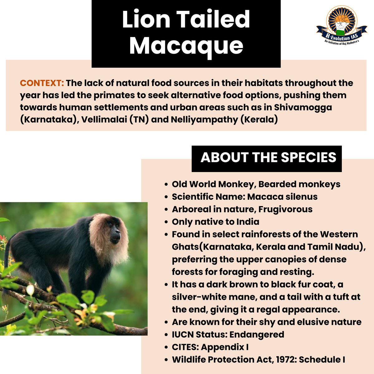 🟢 2 important species in news : 1. Orca 2. Lion Tailed Macaque My team has prepared 1 pager infographics for easy revision for #upscprelims2024 Retweet and share it💯💯