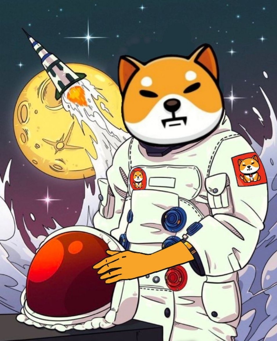 #BABYSHIB is moon-bound!

Stay locked in; every believer will be rewarded. 🐕
