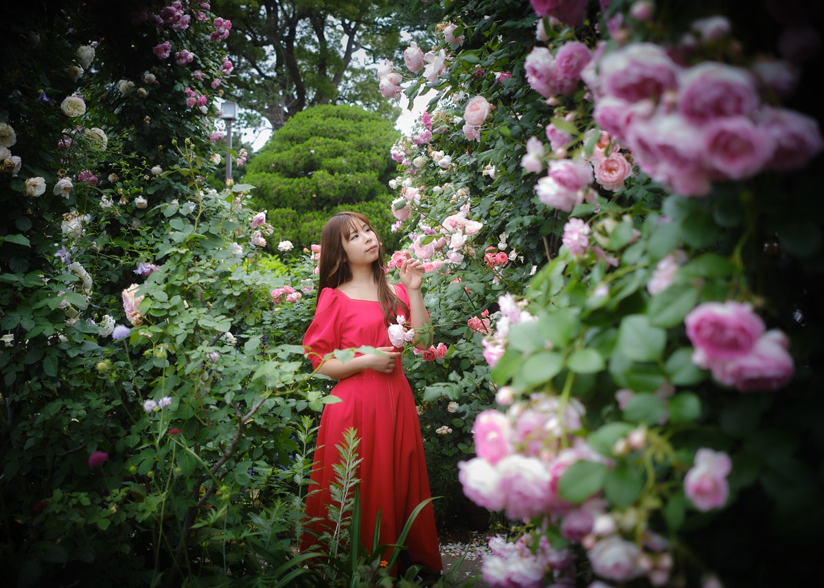 モデル：あかねさん(@pandamama911) 山下公園にて #Fujifilm #XPro3 #Fujinon #XF18mmf14 #with_KTJapan