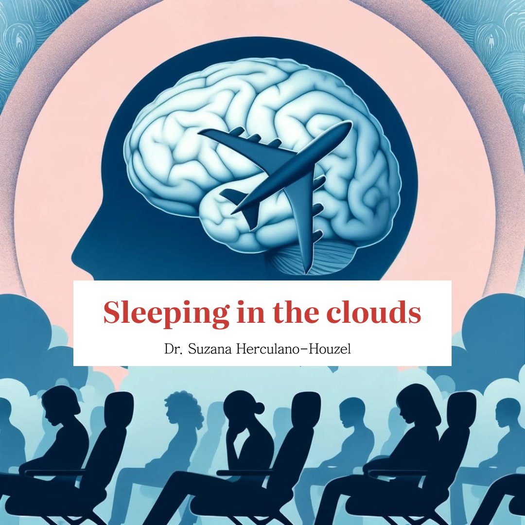 The problem with REM sleep for those who travel by plane - and can't afford business class, of course - is that during this period, in order to prevent the body from obeying the dream orders and enacting each one, the brain blocks all the motor neurons that command muscle