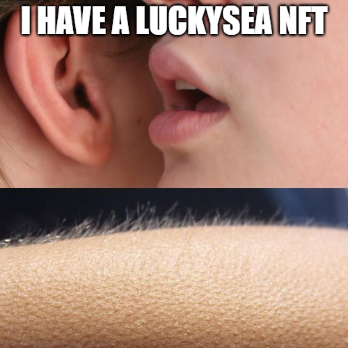 Gm if you hold LuckySea NFT ☀️