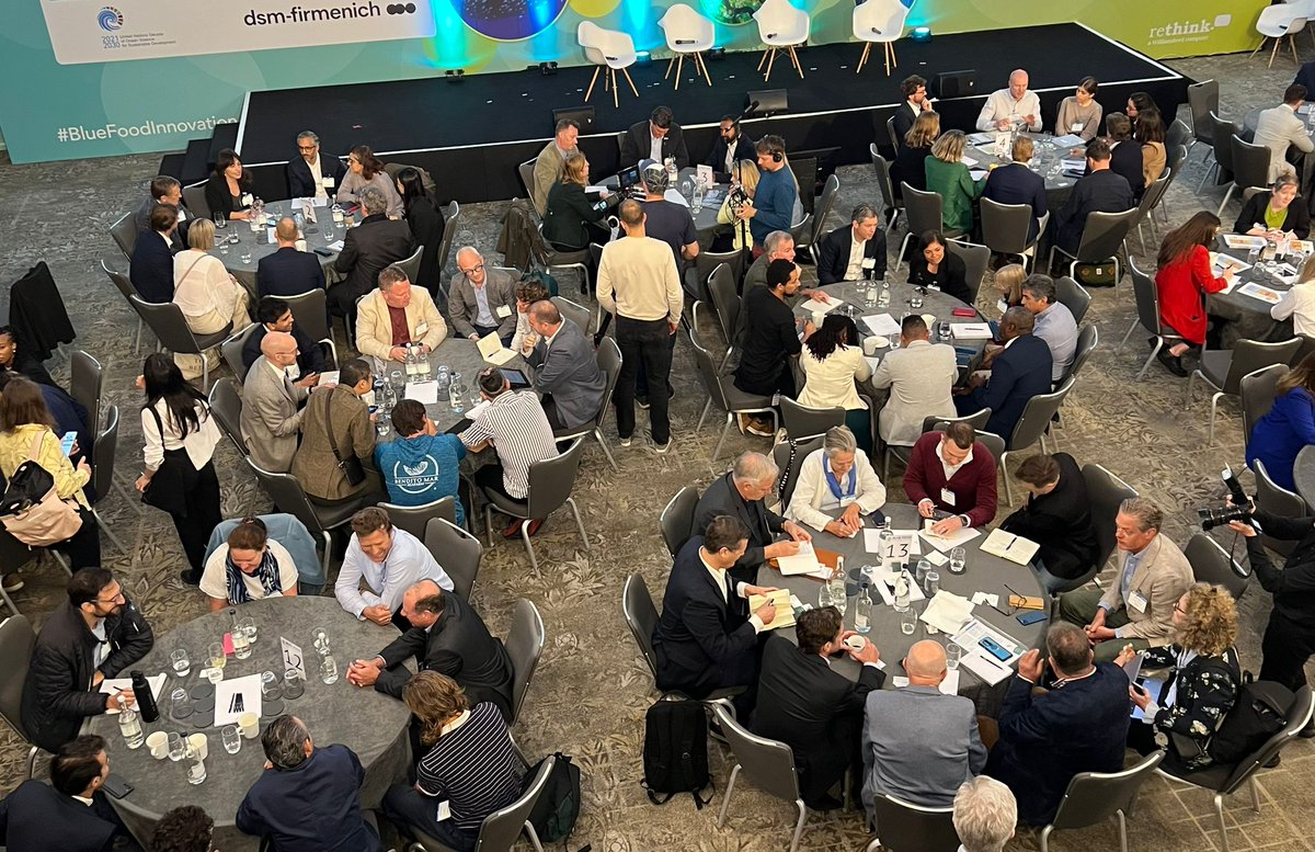 A bird's eye view of the #roundtables in full swing! 
From #Data, #AI to #seaweed and #bluecapital, delegates now discuss big topics in small focused groups in this interactive session. 

Which #roundtable did you join?