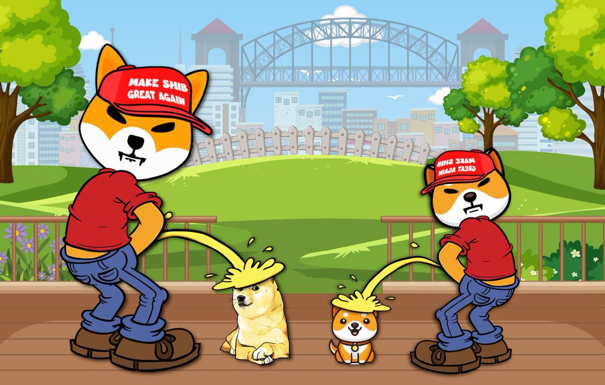 justmikev2's tweet photo. @Shibtoken #BABYSHIB is feeling fantastic! 😊 @babyshiberc 🫡 https://t.co/UXuMFUpD6N