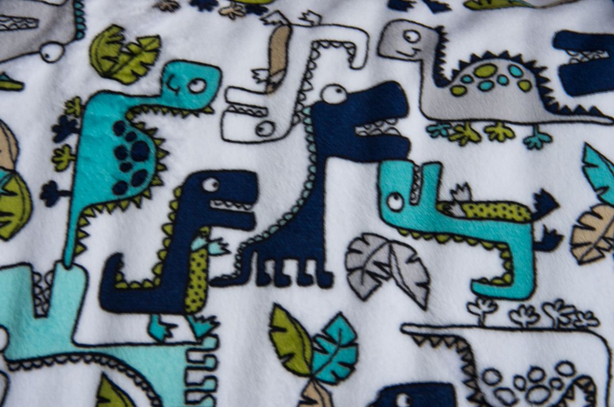 #ROAR #Minky #Fabric #Teal #Dinosaur #Shannonfabrics #Quilting #Sewing #crafting #Quiltback #Animals buff.ly/3UWkr2y  #babyboy  buff.ly/3K8XVyf