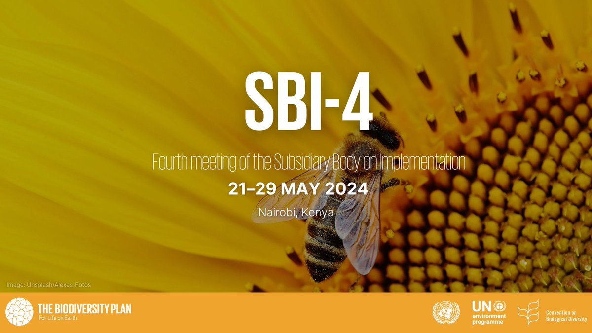 📣 Finance for Biodiversity Foundation Urges Governments to Align Financial Flows and Mandate Sectoral Pathways at #SBI-4 Meeting 📣 Emine Isciel will represent @FinanceforBio at this meeting, serving as co-chair of the Public Policy Advocacy working group